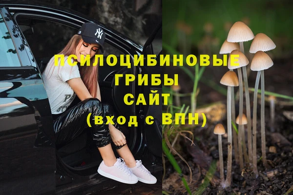 гашик Армянск