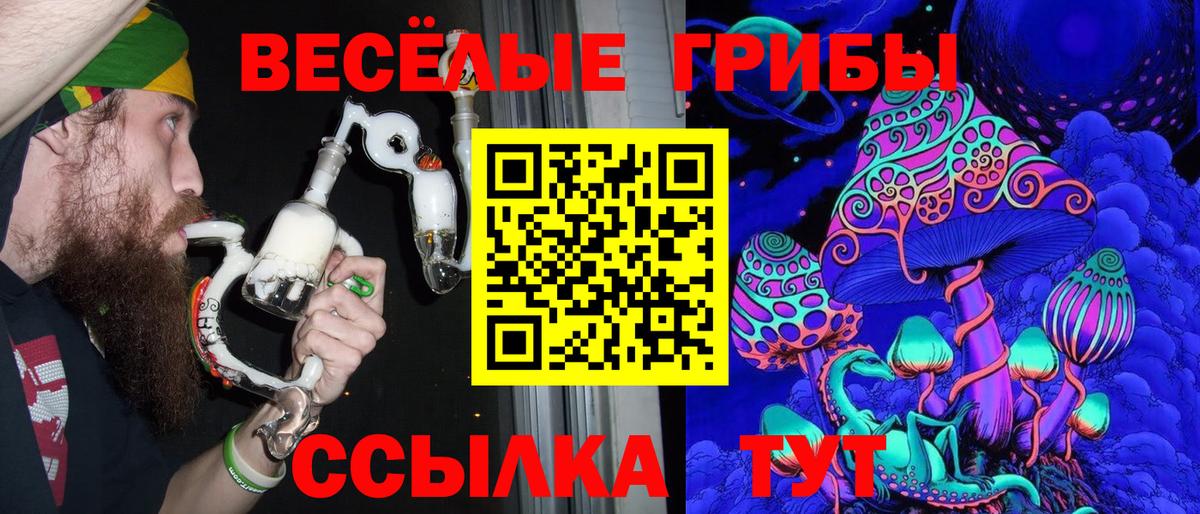 Галлюциногенные грибы Cubensis Ахтубинск
